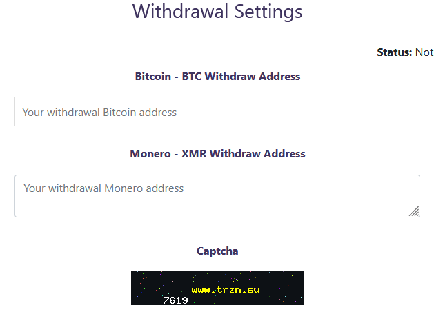 Step-by-step visual guide for accessing and using Torzon Market